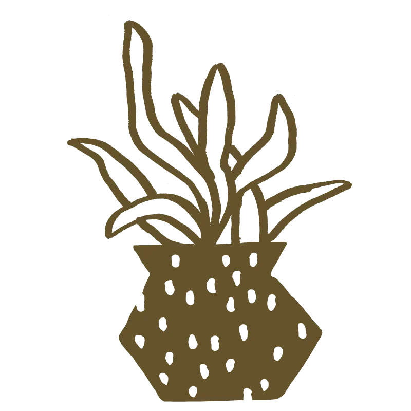 Dibujo lineal de una planta con hojas largas y puntiagudas en una maceta con puntos