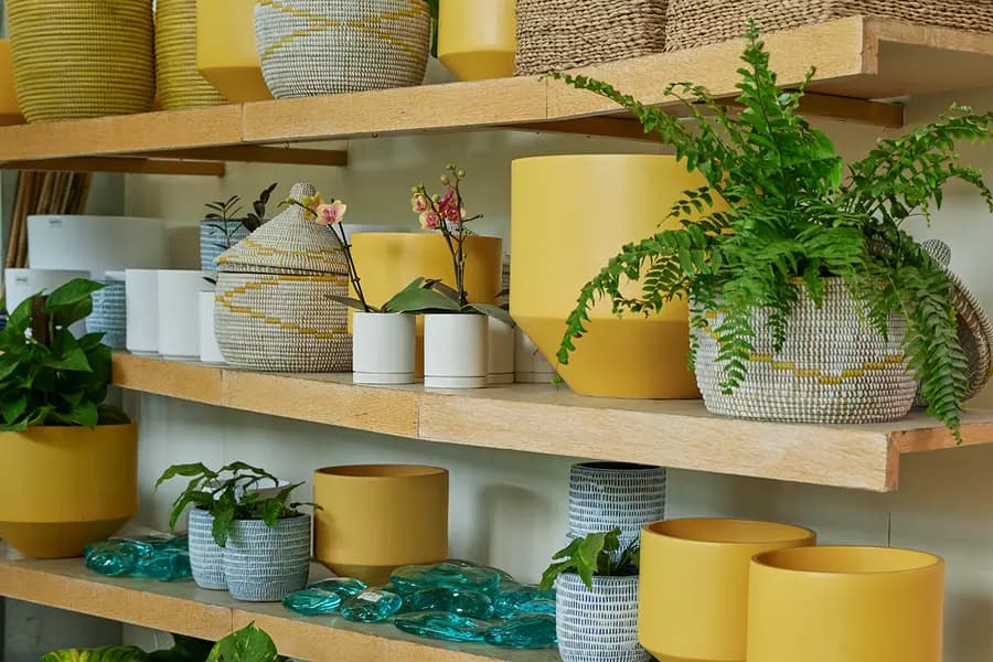 Macetas pequeñas para plantas de interior