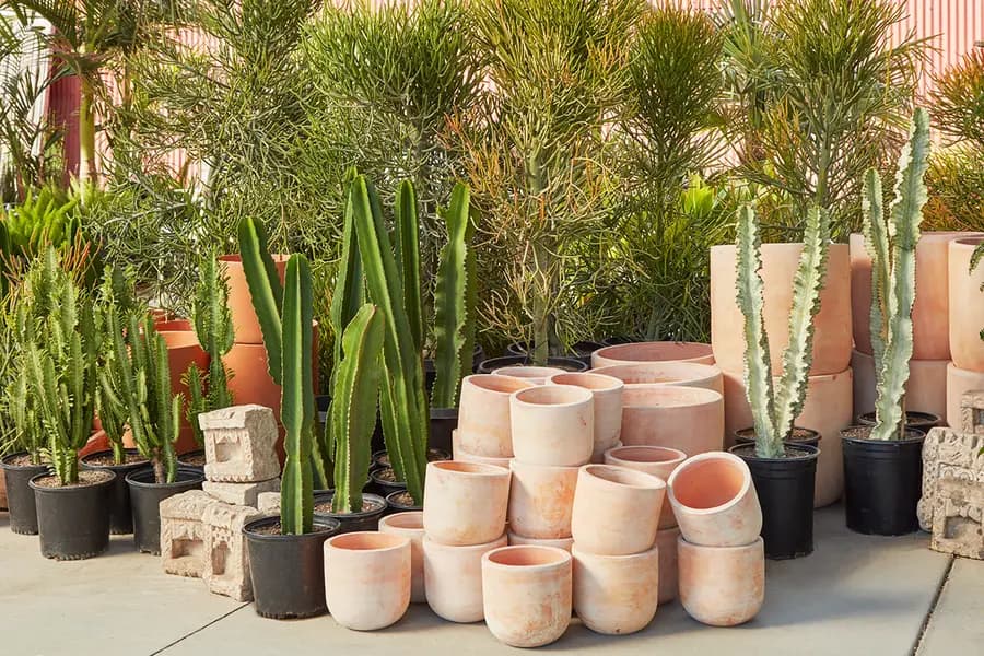 Terra-Cotta Pots and Planters