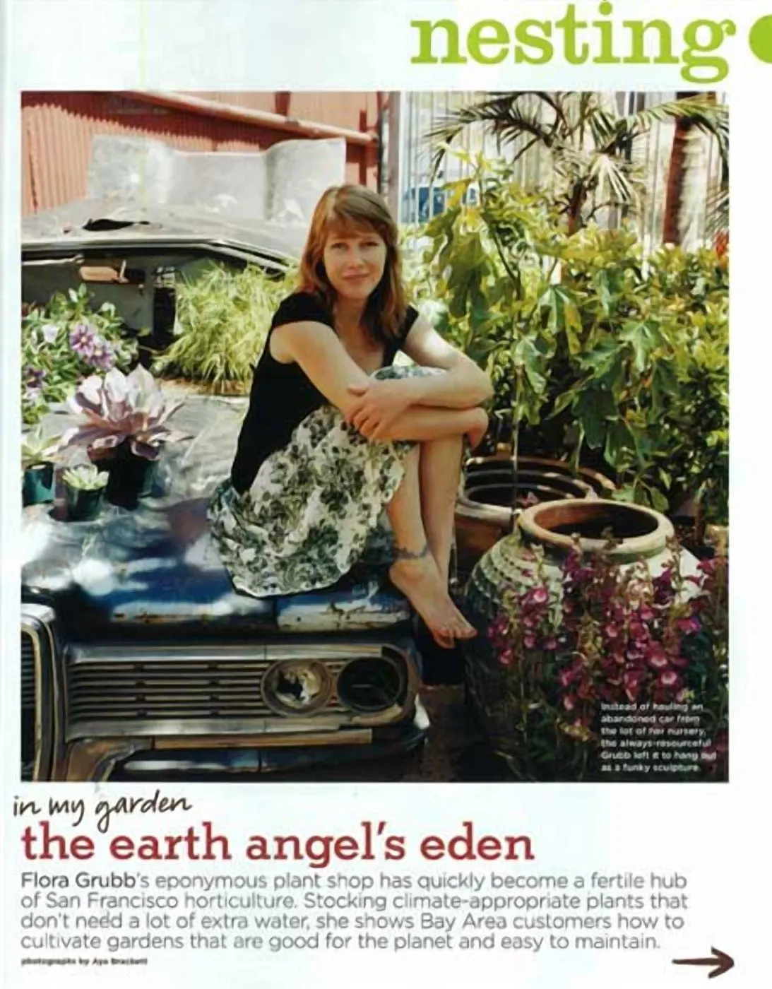 domino, March 2008