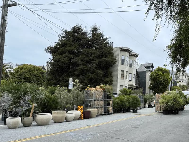 Una plaza temporal en Cole Valley creada por Flora Grubb