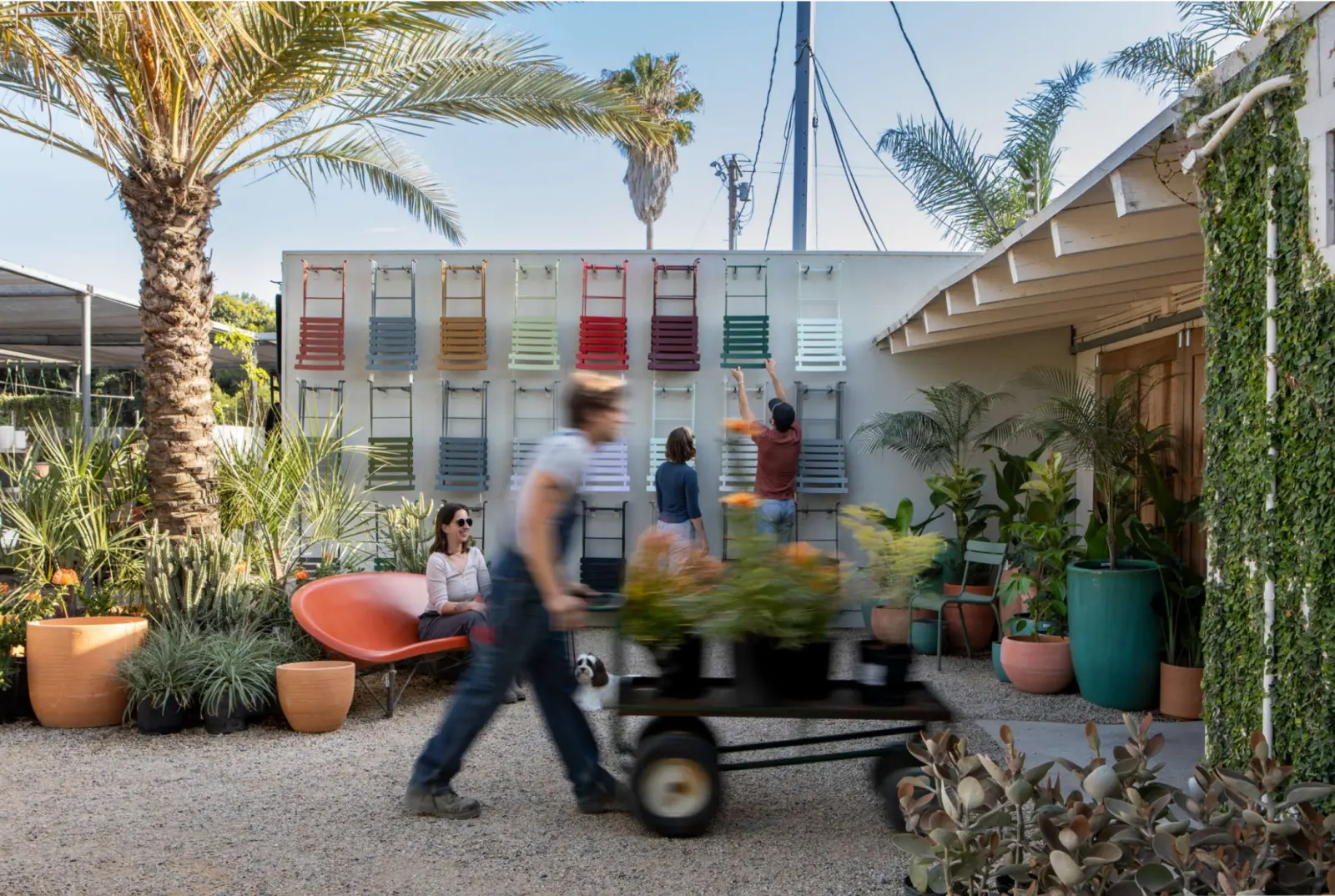 Una persona en un pequeño scooter motorizado en un patio lleno de plantas tropicales, con palmas y plantas verdes en macetas. Hay gente afuera, algunos caminando y otros sentados, y al fondo hay sillas de colores exhibidas en la pared.