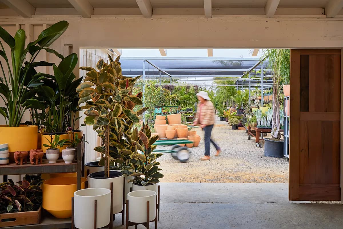 Una persona empuja un carrito por un invernadero lleno de plantas en macetas y artículos de jardinería.