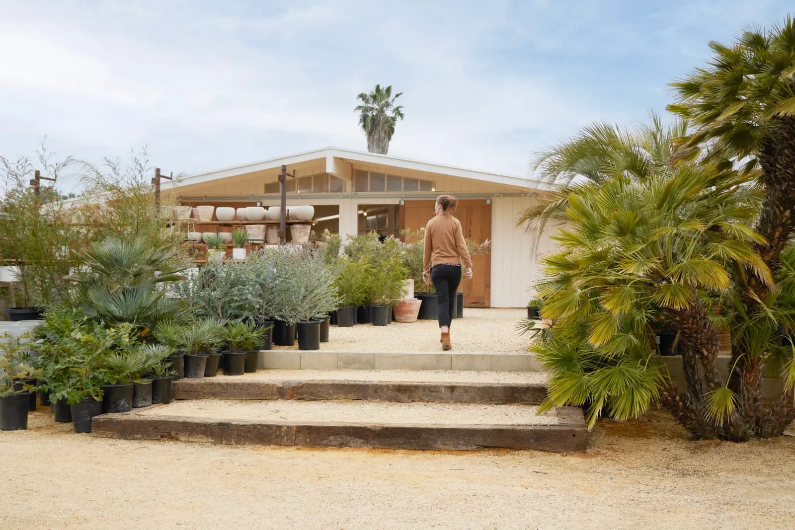 A person walks up a set of wooden steps towards a garden center or nursery filled with potted plants and succulents, with a building in the background and a cloudy sky overhead.