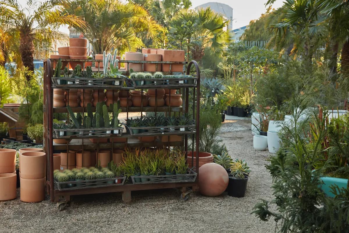Macetas, plantas y más en Flora Grubb Gardens