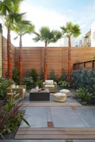 Washingtonia palms with trimmed trunks along the fence of a small San Francisco backyard by Reynolds Sebastiani