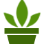 Houseplants