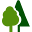 Outdoor Plants